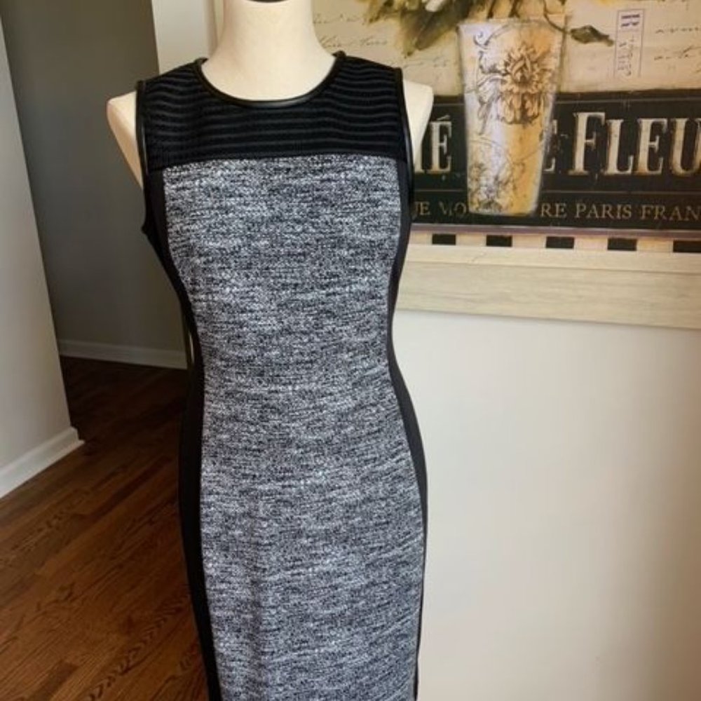 NWT Calvin Klein Size 6 Dress